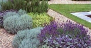 landscaping border ideas