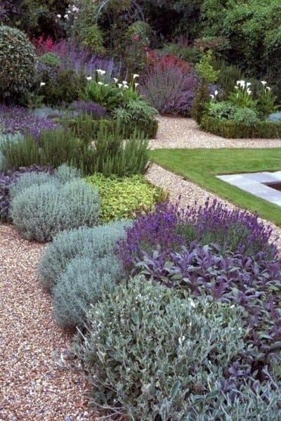 Creative Edging Designs for Your Landscape