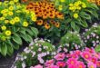 flower bed ideas