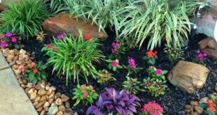 flower bed ideas