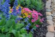 flower garden ideas in front of house