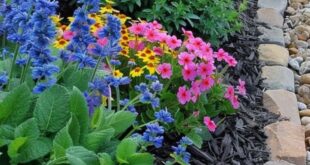 flower garden ideas in front of house