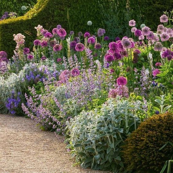 Creative Front Garden Designs for a Beautiful Outdoor Space