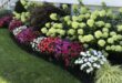 flower garden ideas in front of house