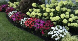 flower garden ideas in front of house