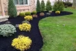 landscape ideas front yard