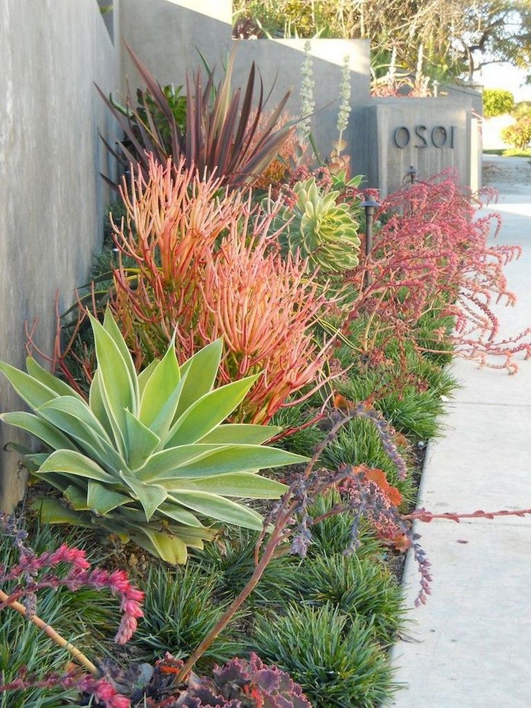 Creative Front Yard Landscaping Ideas for Your Home