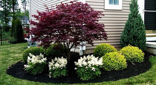 Creative Front Yard Landscaping Ideas to Enhance Your Outdoor Space