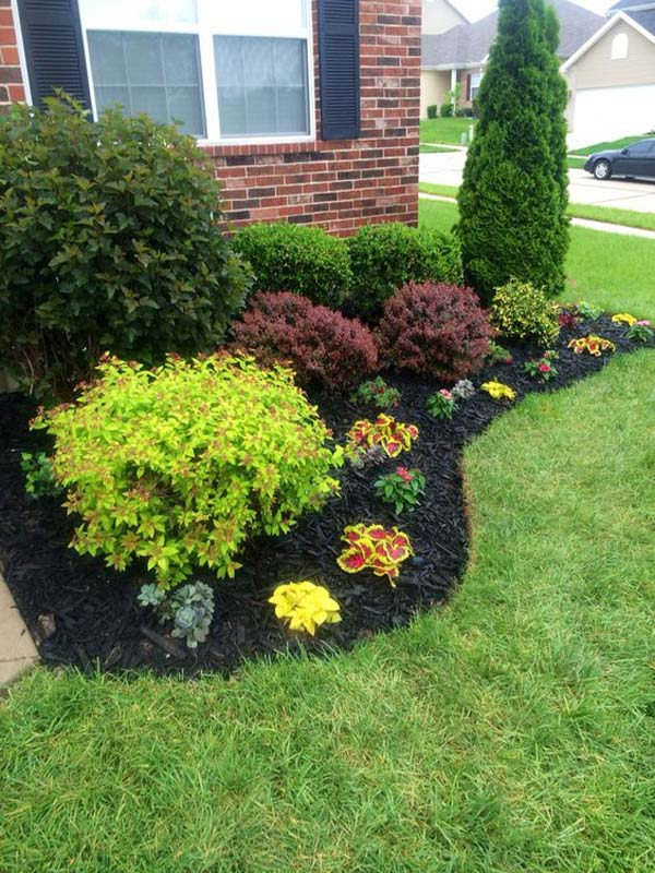 landscape ideas front yard