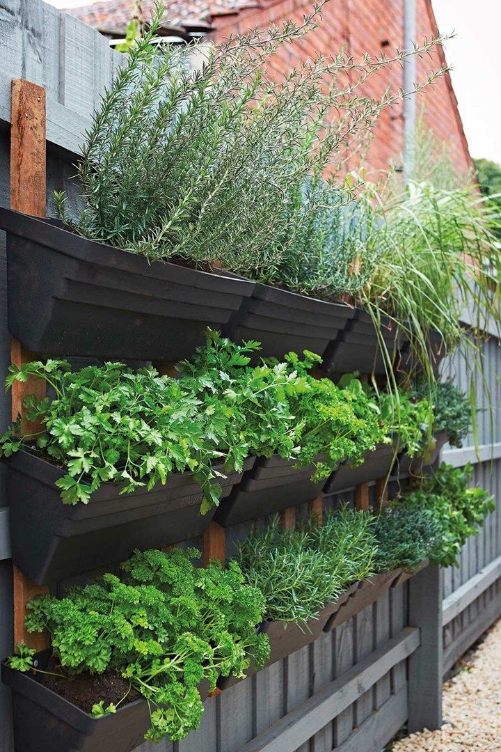 Creative Garden Bed Ideas for Small Spaces