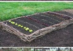 small garden bed ideas