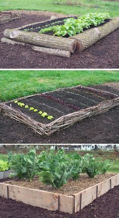 Creative Garden Bed Inspiration for Compact Outdoor Spaces