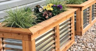 garden box ideas