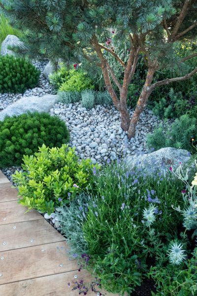 Creative Garden Design: Exploring Unique Border Options