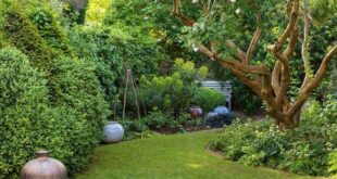 garden design ideas