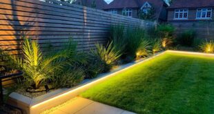 modern garden ideas