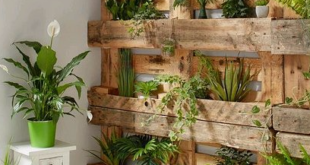 garden ideas with pallets