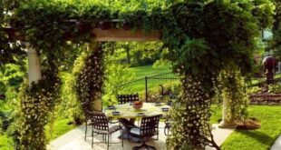 enclosed garden ideas