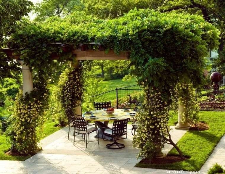 Creative Garden Ideas for a Private Paradise