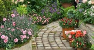 garden ideas long narrow