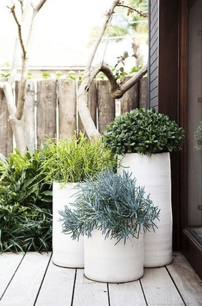 garden planter ideas