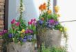 garden planter ideas