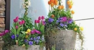 garden planter ideas