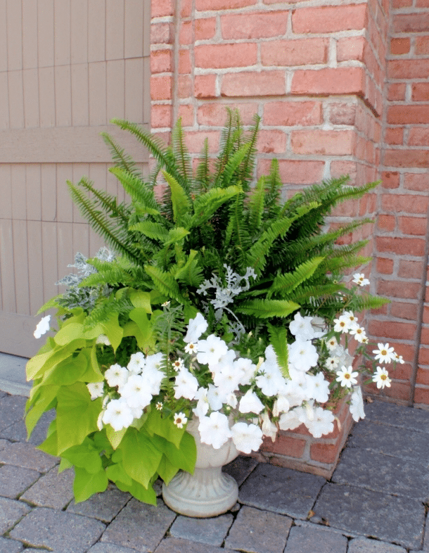 Creative Garden Planter Ideas for Your Outdoor Space