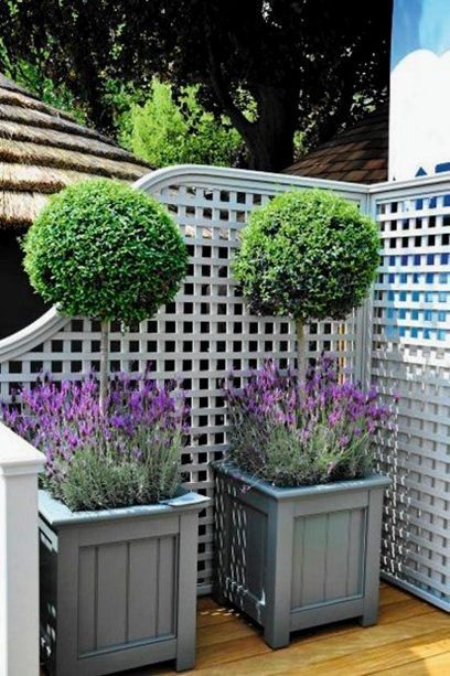 garden planter ideas