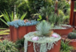 garden planter ideas