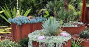 garden planter ideas