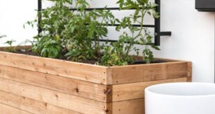 garden planter ideas