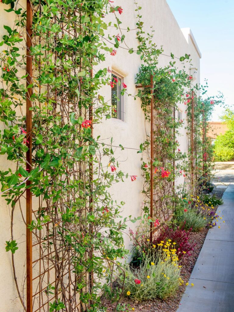 garden wall ideas