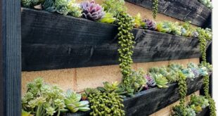 garden wall ideas