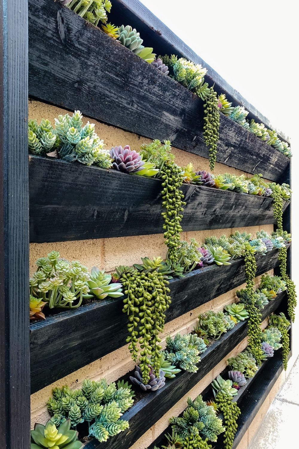 Creative Garden Wall Inspiration for Your Outdoor Space