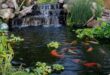 small garden ponds ideas