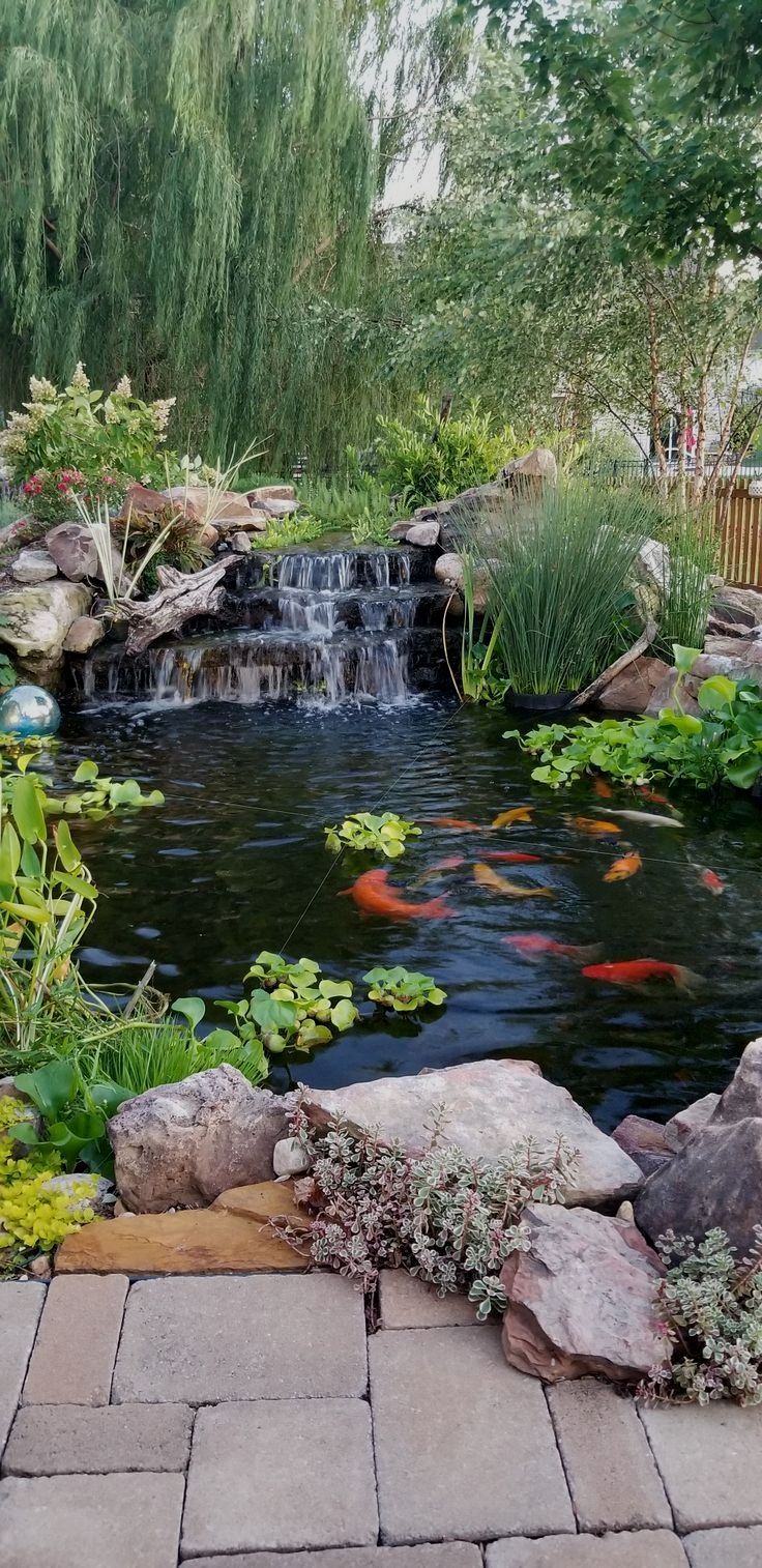 Creative Ideas for Designing Small Garden Ponds