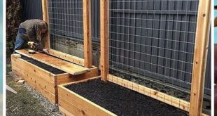 garden box ideas