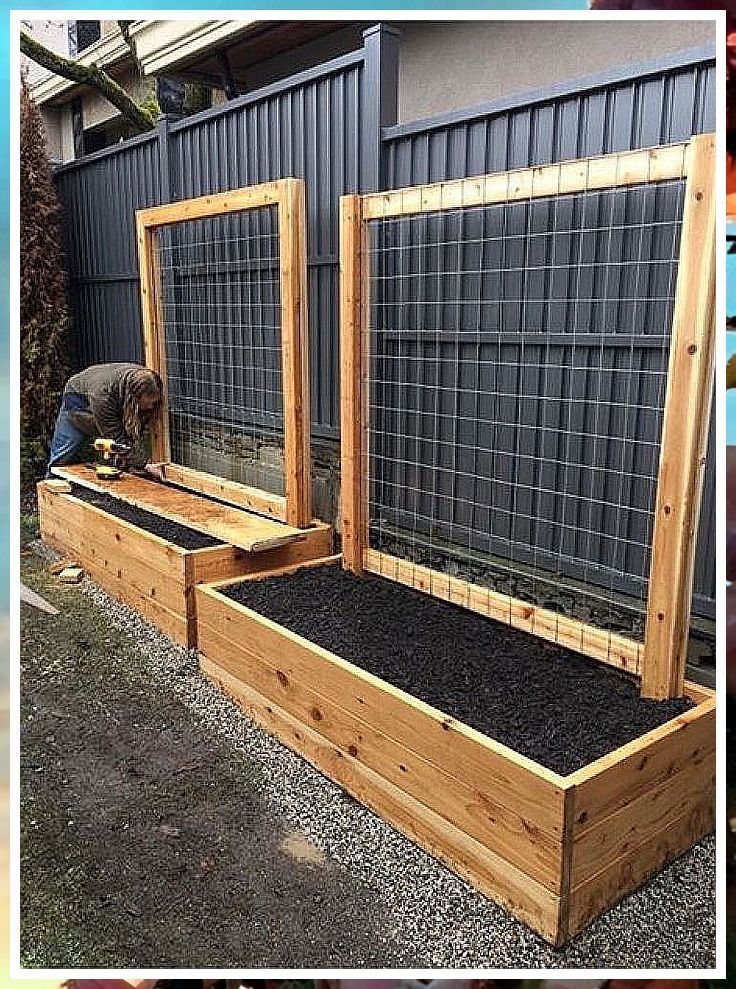 Creative Ideas for Making Your Dream Garden Box