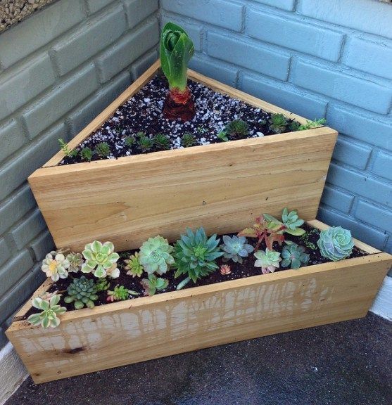 Creative Ideas for Maximizing Your Small Garden Space