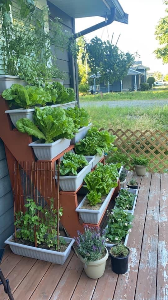 Creative Ideas for Small Garden Beds