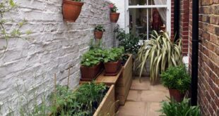 small garden courtyard ideas