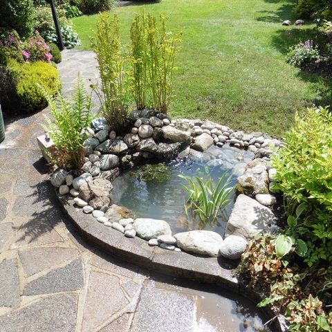 Creative Ideas for Small Garden Ponds