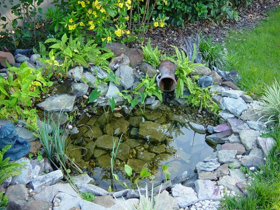 Creative Ideas for Small Garden Ponds