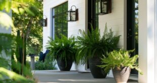 long front porch ideas