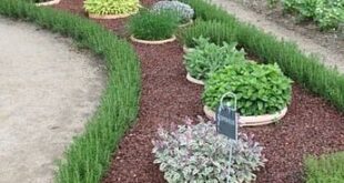 outdoor garden ideas