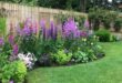 landscaping border ideas