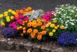 flower bed ideas