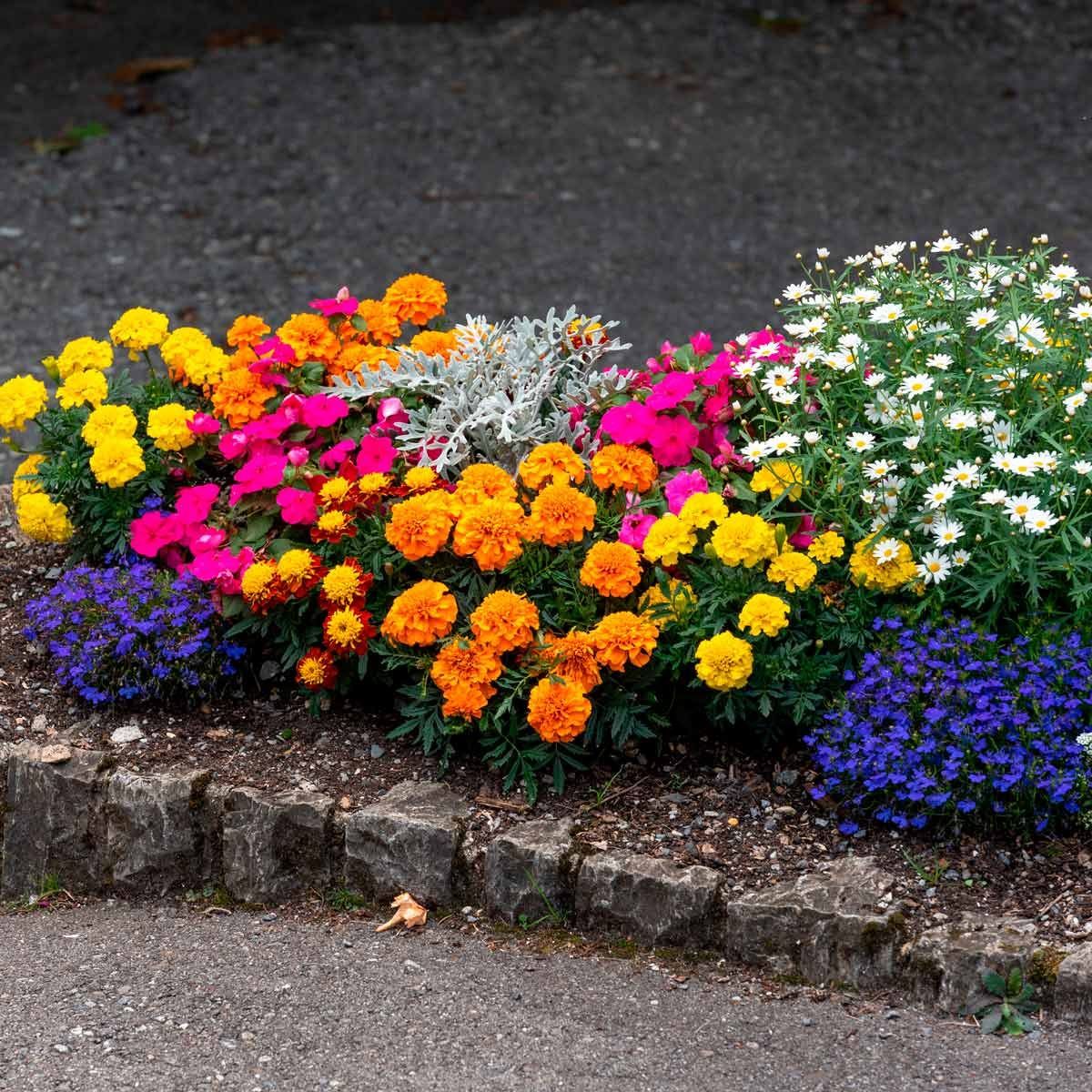 Creative Landscaping: Fresh Ideas for Flower Beds