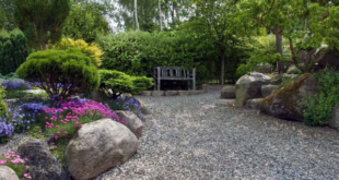 landscaping gravel ideas